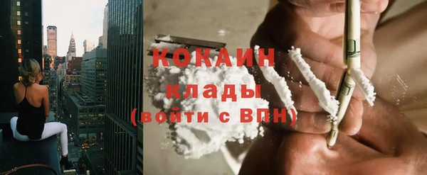 индика Богданович