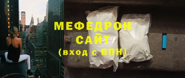 индика Богданович