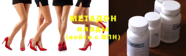 индика Богданович