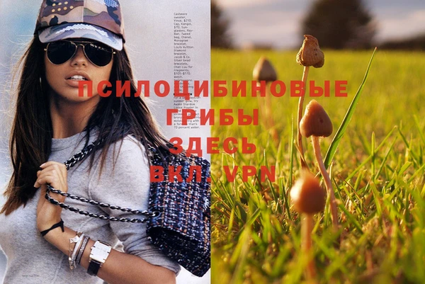 мяу мяу мука Богородицк