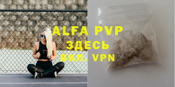 индика Богданович