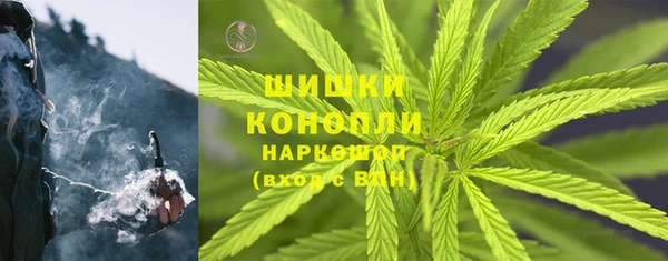 индика Богданович