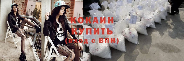 индика Богданович